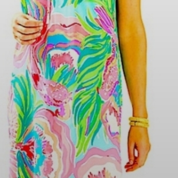 Bailey Silk Lilly Pulitzer Dress- Like New! - Picture 11 of 11